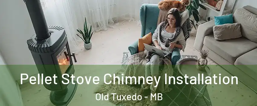  Pellet Stove Chimney Installation Old Tuxedo - MB