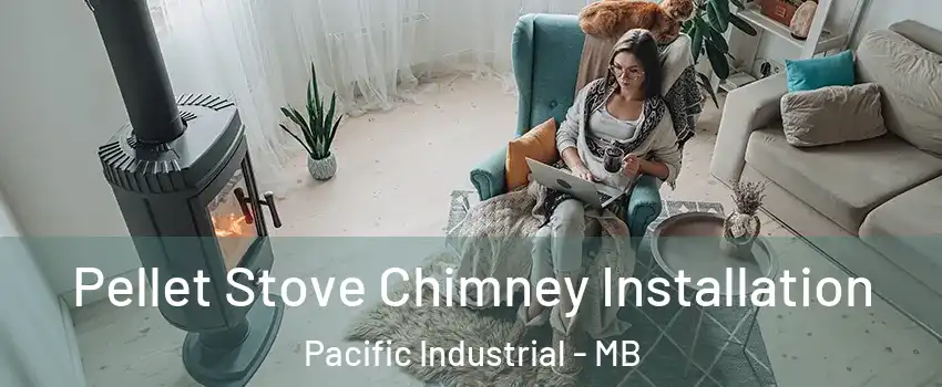  Pellet Stove Chimney Installation Pacific Industrial - MB