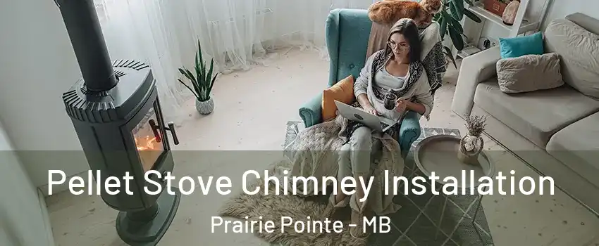  Pellet Stove Chimney Installation Prairie Pointe - MB