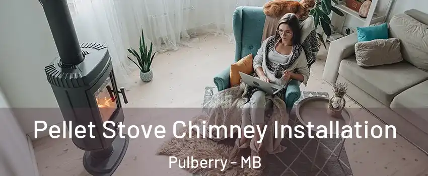  Pellet Stove Chimney Installation Pulberry - MB