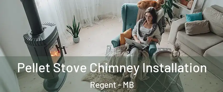  Pellet Stove Chimney Installation Regent - MB