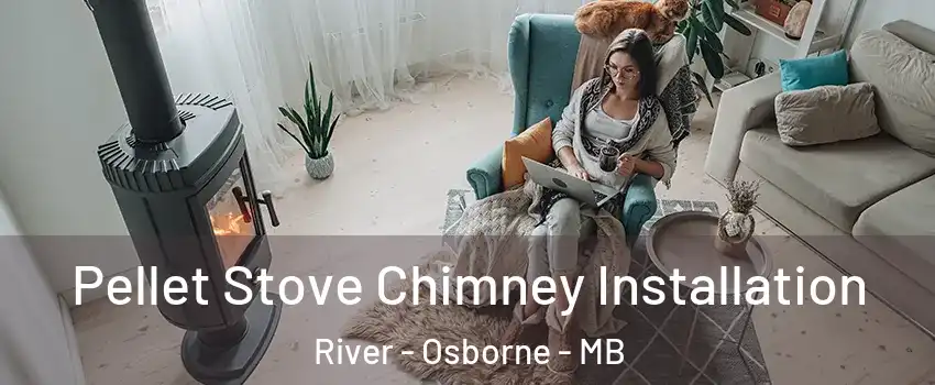  Pellet Stove Chimney Installation River - Osborne - MB