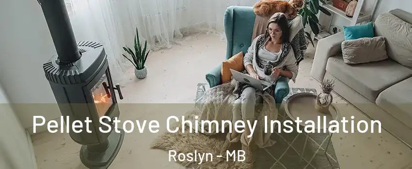  Pellet Stove Chimney Installation Roslyn - MB