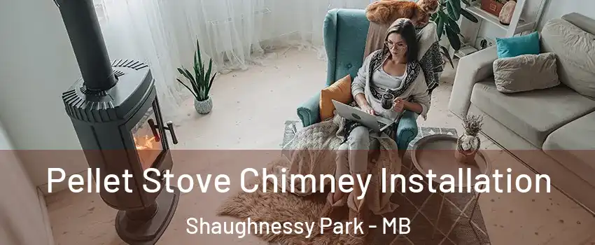  Pellet Stove Chimney Installation Shaughnessy Park - MB