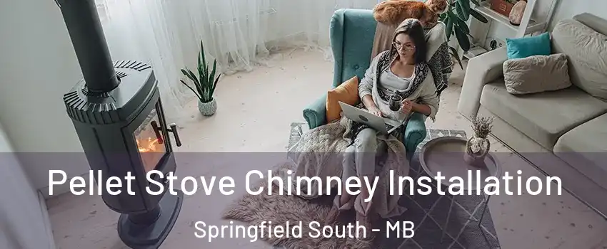  Pellet Stove Chimney Installation Springfield South - MB