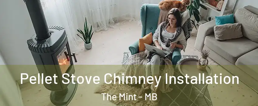  Pellet Stove Chimney Installation The Mint - MB