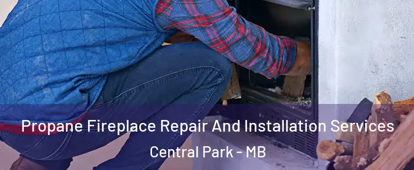  Propane Fireplace Repair And Installation Services Central Park - MB