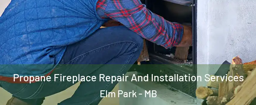  Propane Fireplace Repair And Installation Services Elm Park - MB