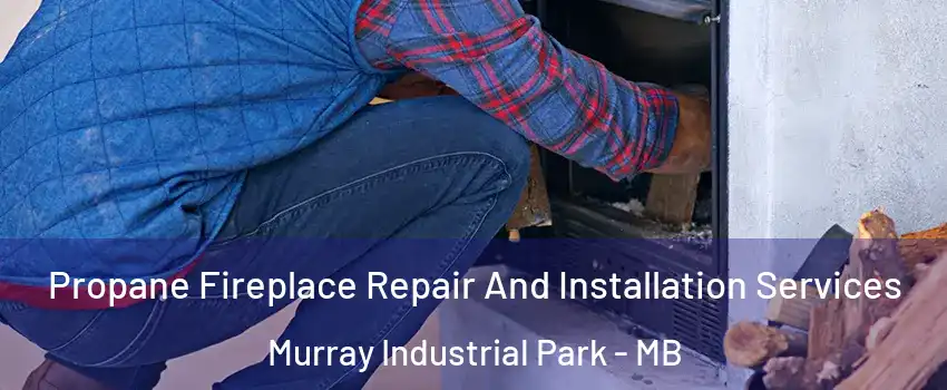 Propane Fireplace Repair And Installation Services Murray Industrial Park - MB