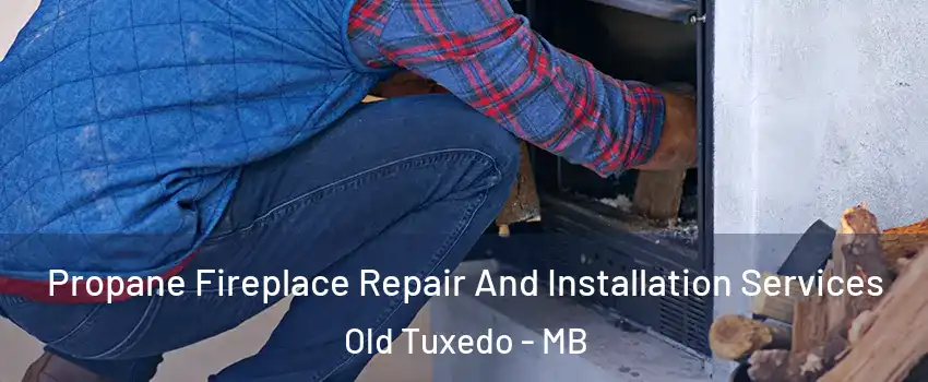  Propane Fireplace Repair And Installation Services Old Tuxedo - MB