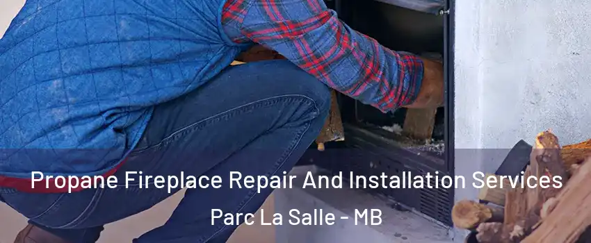  Propane Fireplace Repair And Installation Services Parc La Salle - MB