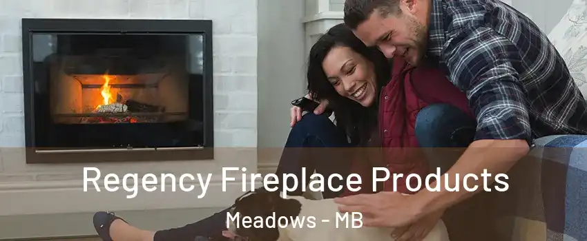  Regency Fireplace Products Meadows - MB