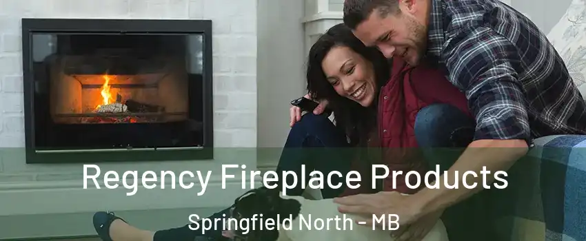  Regency Fireplace Products Springfield North - MB