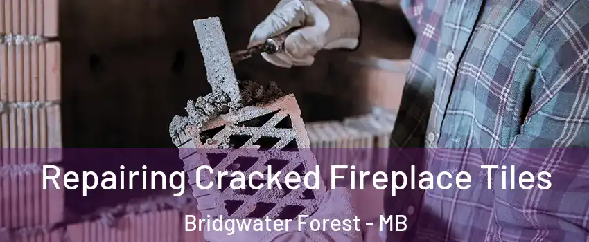  Repairing Cracked Fireplace Tiles Bridgwater Forest - MB