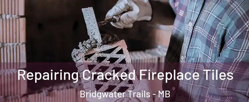  Repairing Cracked Fireplace Tiles Bridgwater Trails - MB