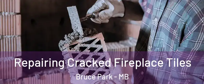  Repairing Cracked Fireplace Tiles Bruce Park - MB