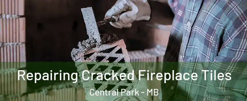  Repairing Cracked Fireplace Tiles Central Park - MB