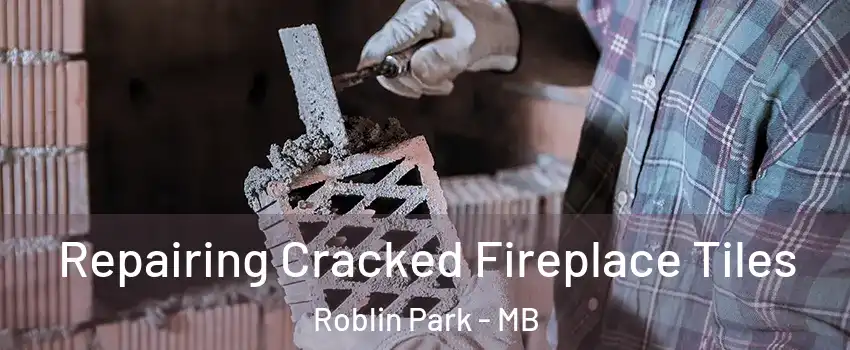  Repairing Cracked Fireplace Tiles Roblin Park - MB