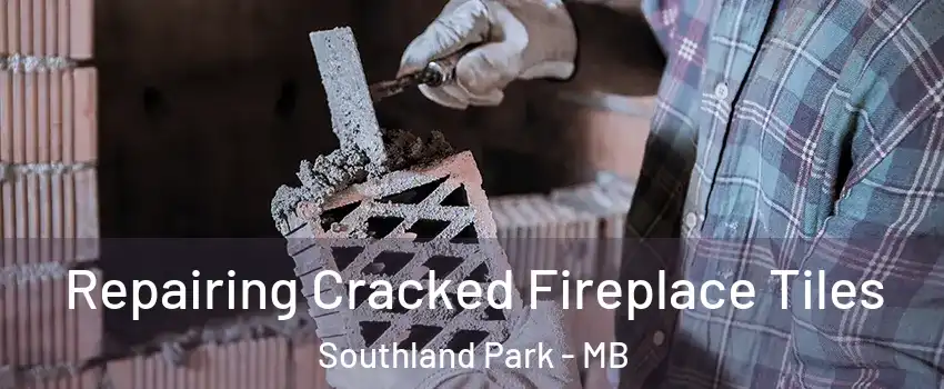  Repairing Cracked Fireplace Tiles Southland Park - MB