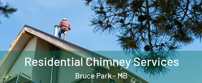  Residential Chimney Services Bruce Park - MB