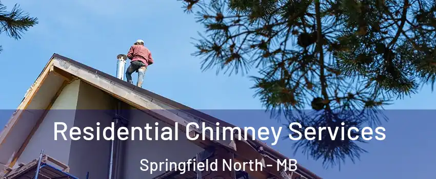  Residential Chimney Services Springfield North - MB