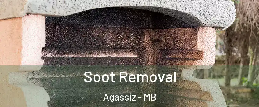  Soot Removal Agassiz - MB