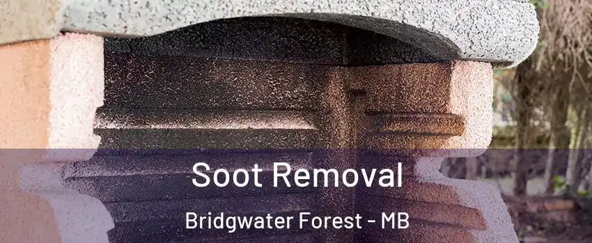  Soot Removal Bridgwater Forest - MB
