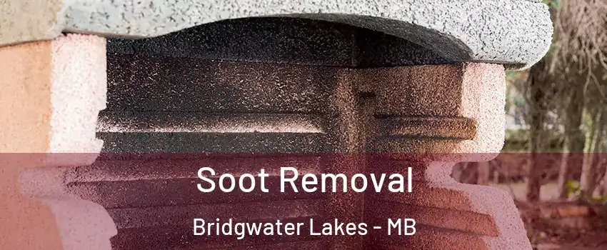  Soot Removal Bridgwater Lakes - MB