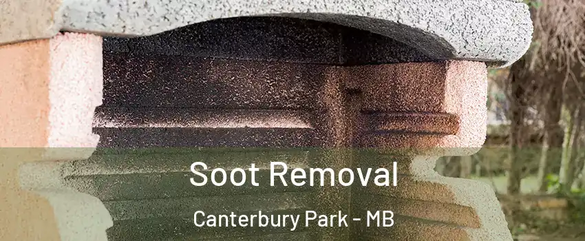 Soot Removal Canterbury Park - MB