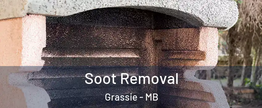  Soot Removal Grassie - MB