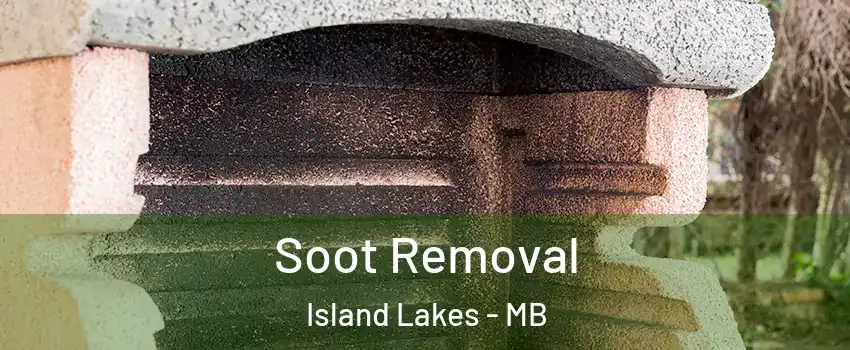  Soot Removal Island Lakes - MB