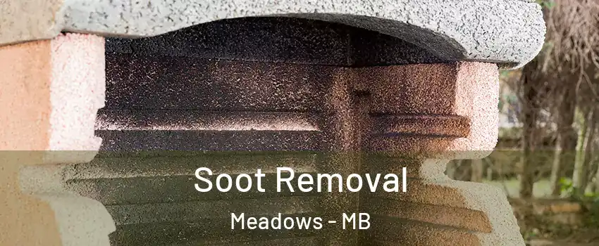  Soot Removal Meadows - MB
