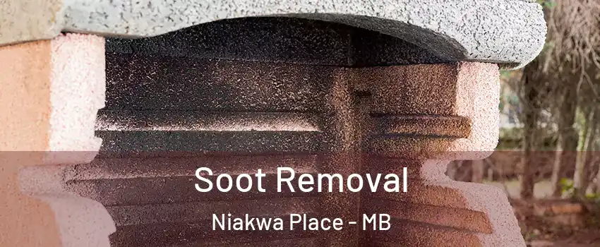  Soot Removal Niakwa Place - MB
