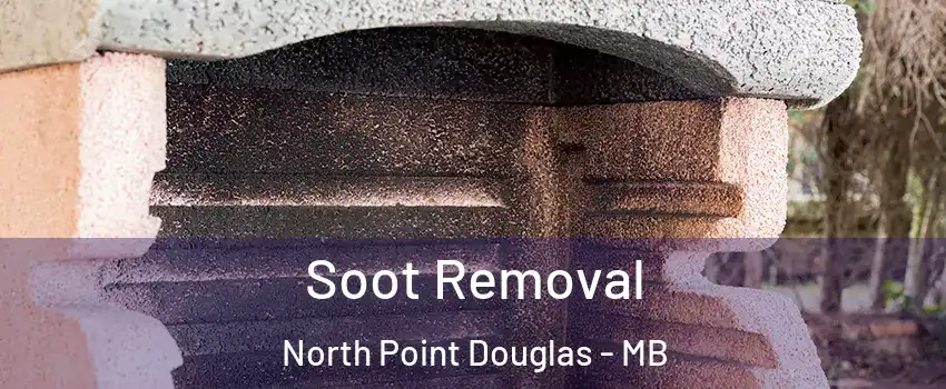  Soot Removal North Point Douglas - MB