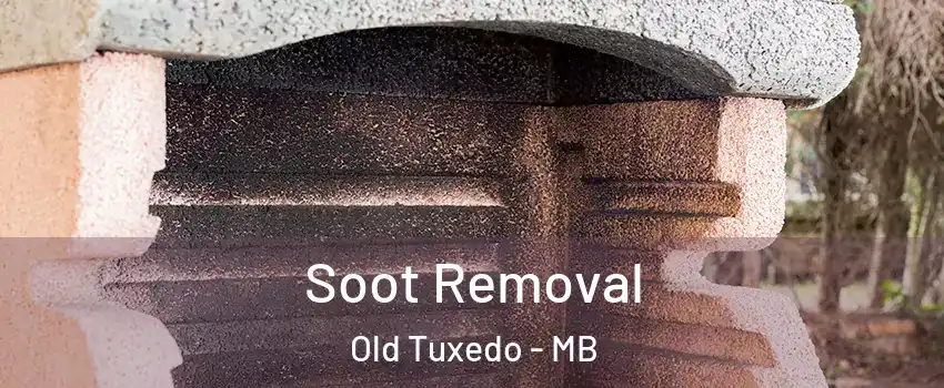  Soot Removal Old Tuxedo - MB