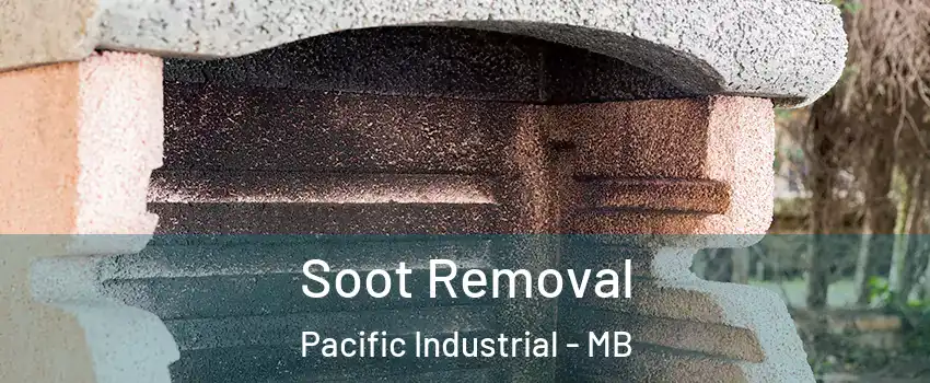  Soot Removal Pacific Industrial - MB