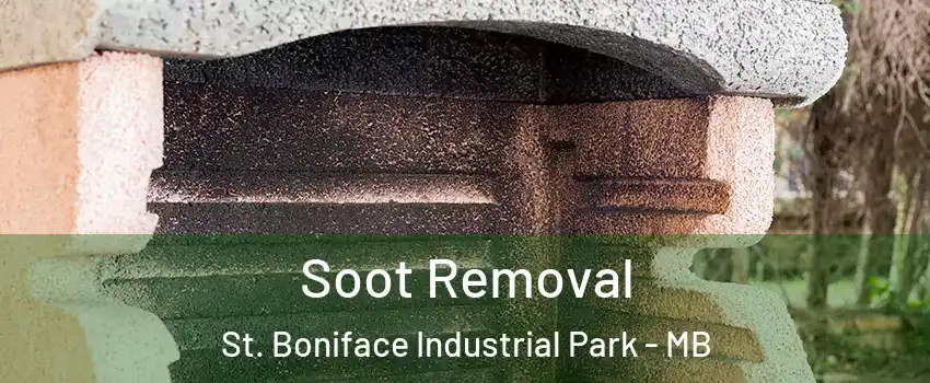  Soot Removal St. Boniface Industrial Park - MB
