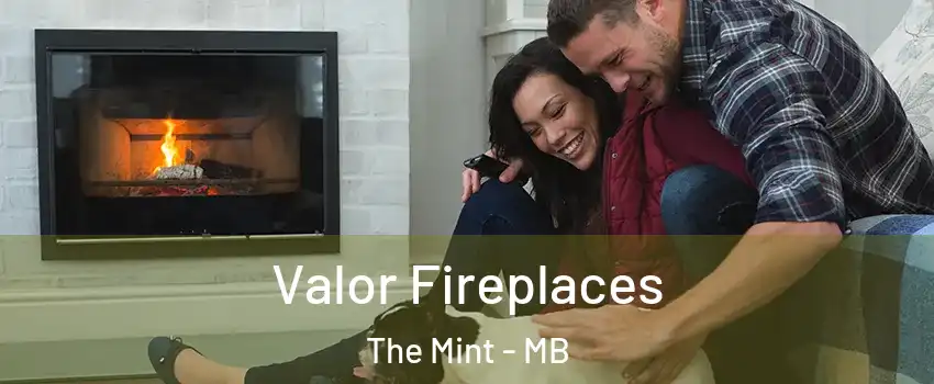  Valor Fireplaces The Mint - MB