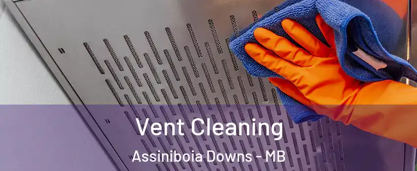  Vent Cleaning Assiniboia Downs - MB