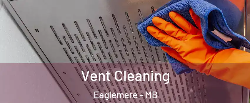  Vent Cleaning Eaglemere - MB