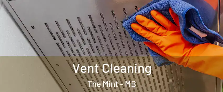  Vent Cleaning The Mint - MB