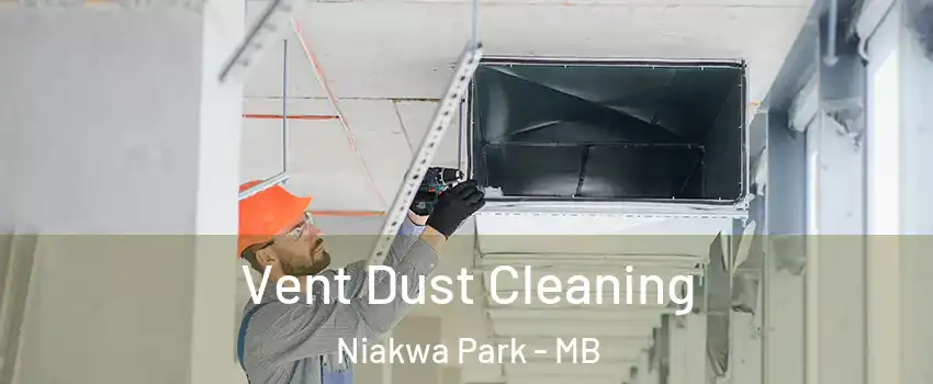  Vent Dust Cleaning Niakwa Park - MB
