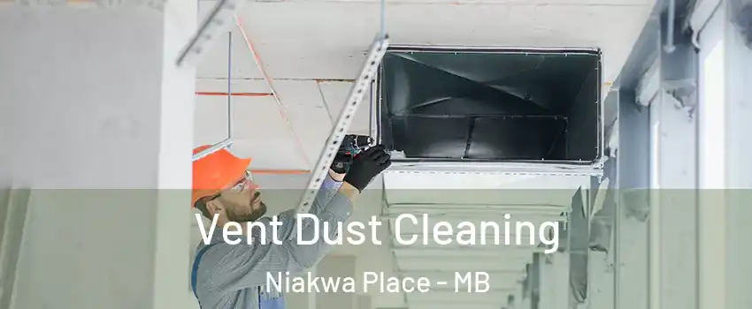  Vent Dust Cleaning Niakwa Place - MB
