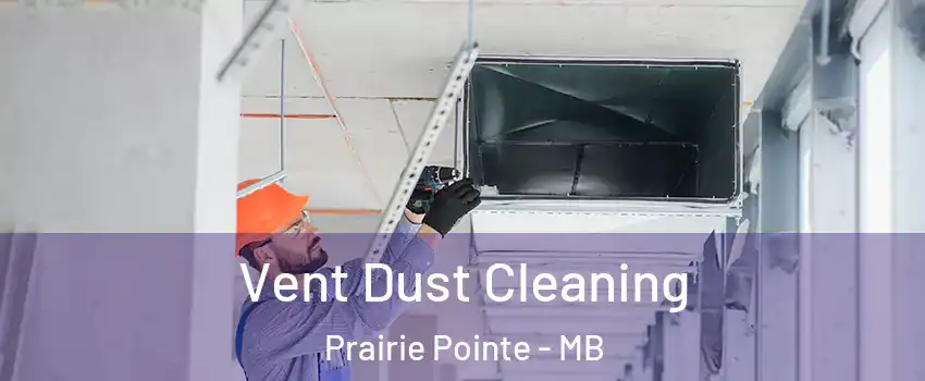  Vent Dust Cleaning Prairie Pointe - MB