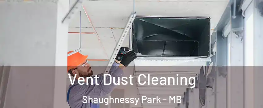  Vent Dust Cleaning Shaughnessy Park - MB
