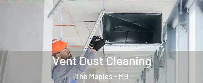  Vent Dust Cleaning The Maples - MB