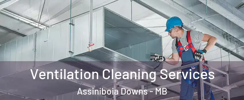  Ventilation Cleaning Services Assiniboia Downs - MB