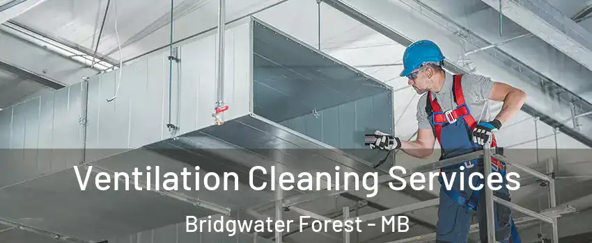  Ventilation Cleaning Services Bridgwater Forest - MB