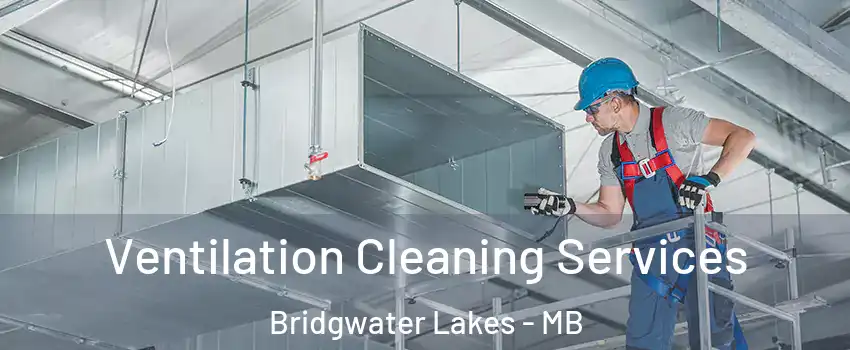  Ventilation Cleaning Services Bridgwater Lakes - MB