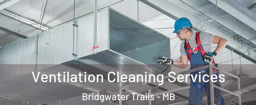  Ventilation Cleaning Services Bridgwater Trails - MB